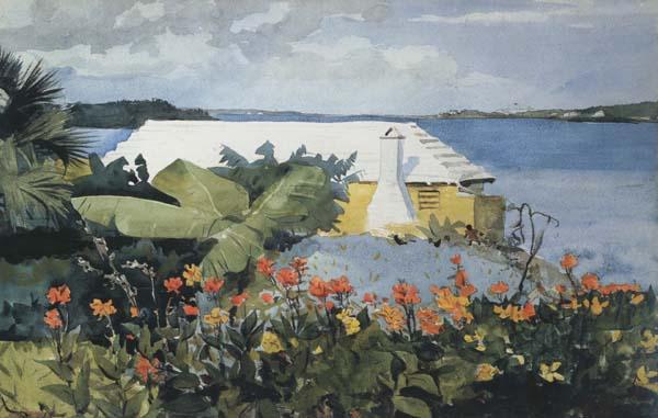 Winslow Homer Flower Garden and Bungalow,Bermuda (mk44) oil painting picture